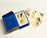 An Almanac of Birds: 100 Divinations for Uncertain Days