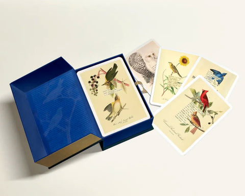 An Almanac of Birds: 100 Divinations for Uncertain Days