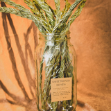Sweetgrass Braids