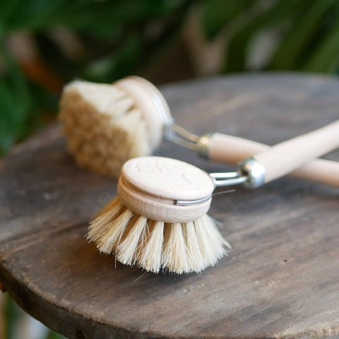 Dish Brush