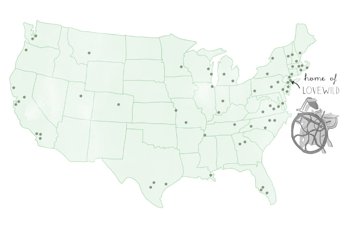 Find Lovewild Design in retail stores!