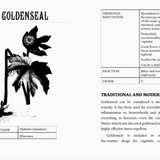 A printed informational page about Goldenseal, with botanical illustrations, a medicine reputation table, and text describing traditional and modern uses. The page is mostly white with black text and line art.