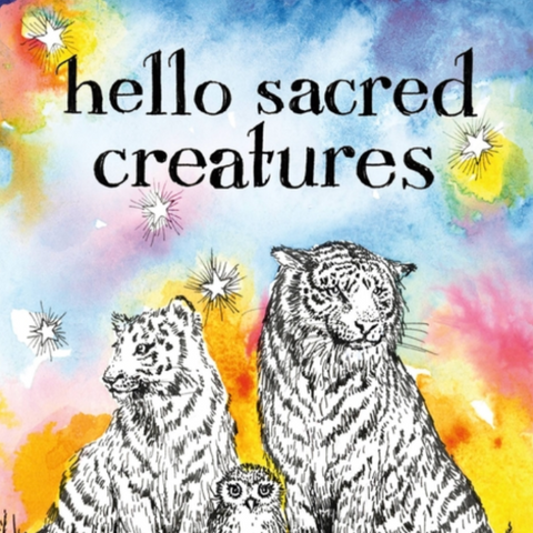 Book cover of 'hello sacred creatures' by Kim Krans with illustrations of leopards and an owl against a colorful background.