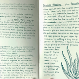 An open book or notebook showing handwritten notes in black ink. The left page has a large heading 'BUGS' with bullet points about insect powders and remedies.