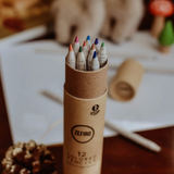 A set of 12 colored pencils in a brown cardboard tube, standing upright on a wooden table with a blurred background showing stationery and small decorative items.
