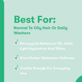 Solid Shampoo Bar- Maintain
