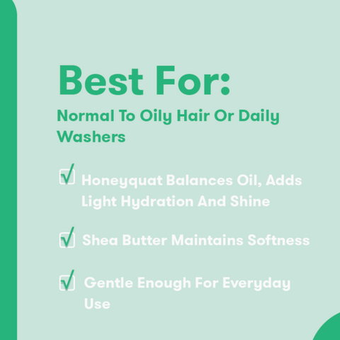 Solid Shampoo Bar- Maintain