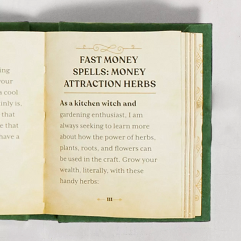 The Witches' Wealth Spell Book