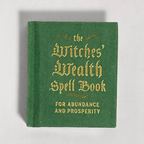 The Witches' Wealth Spell Book
