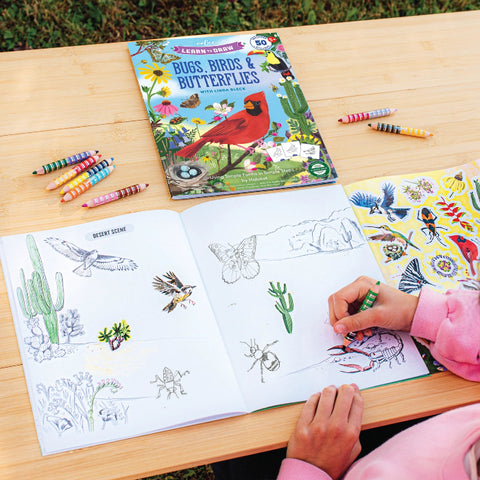 Learn To Draw Bugs, Birds & Butterflies with Stickers