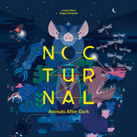 Nocturnal: Animals After Dark