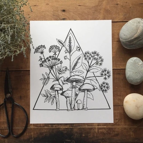 Poisonous Plants and Mushrooms Print