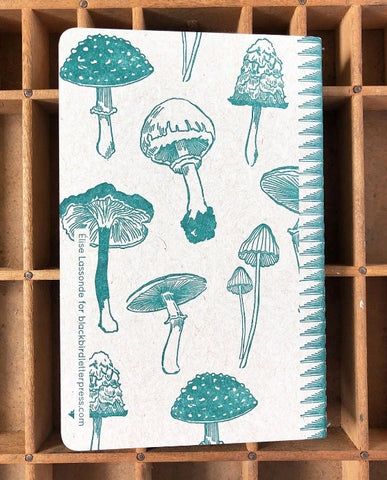 Mushrooms notebook