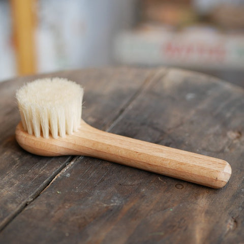 Mushroom Brush with Handle