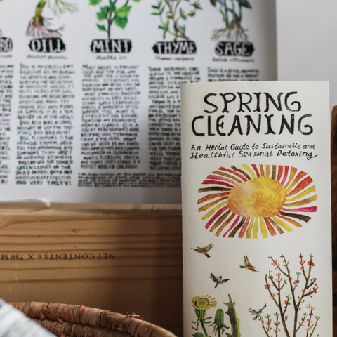 Spring Cleaning Zine