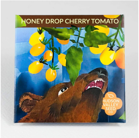 Honey Drop Cherry Tomato