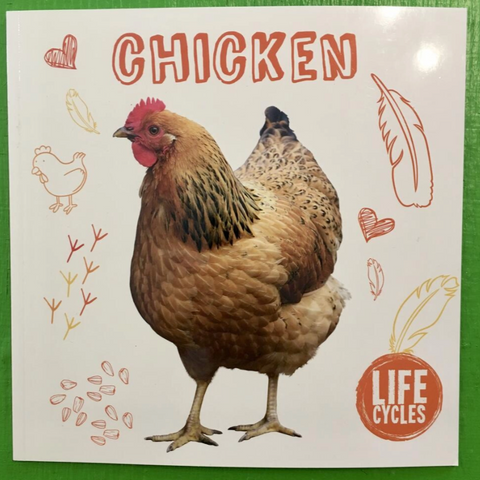 Chicken: Life Cycles