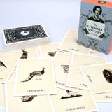 Literary Witches Oracle Deck