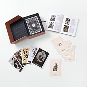 Literary Witches Oracle Deck