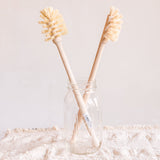 Two wooden brushes with natural bristles, designed for cleaning drinking bottles, standing upright in a glass bottle.