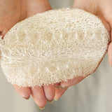 Biodegradable Dish Sponges 3 Pack